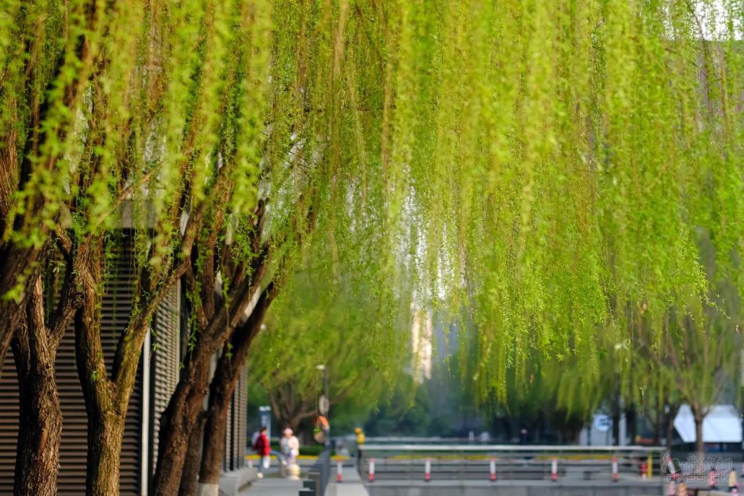 小孩姐削土豆受伤气跑4名医生
